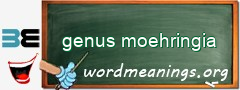 WordMeaning blackboard for genus moehringia